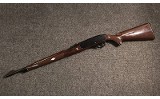 Remington ~ Nylon 66 ~ .22 LR (SKU: 4841227) - 5 of 5