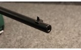 Remington ~ 24 ~ .22 Short (4840803) - 5 of 5