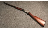 Winchester ~ 06 ~ .22 Long Rifle (4840855) - 2 of 5