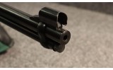 Henry ~ Lever Action Rifle ~ .22 Magnum (4875928) - 5 of 5