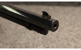 Henry ~ Silver Eagle ~ .22 Long Rifle (4885129) - 5 of 5