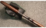 Remington ~ 12 ~ .22 Long Rifle (4883241) - 3 of 5