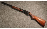 Remington ~ Speedmaster 552 ~ .22 Long Rifle (4891926) - 2 of 5
