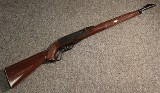 Remington ~ Nylon 76 ~ .22 Long Rifle (4897291) - 1 of 5