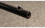 Winchester ~ 03 ~ .22 Winchester Automatic (4898431) - 5 of 5
