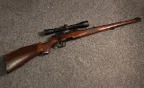 Steyr ~ Mod. L ~ .243 Win (SKU: 4898175) - Image 1 of 5