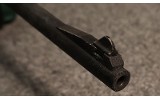 Charter Arms ~ AR-7 Explorer ~ .22l Log Rifle (4901725) - 2 of 5