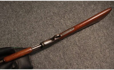 Winchester ~ 1906 ~ .22 S, L, LR (SKU: 4942982) - Image 3 of 5