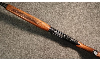 Sears & Roebuck ~ 300 ~ 12 Gauge (4968488) - Image 3 of 5