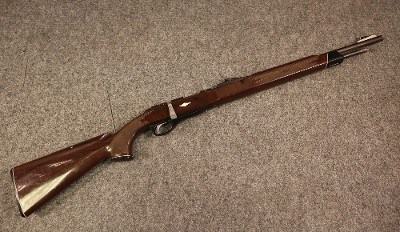 Remington ~ Nylon 12 ~ .22 S, L, LR (4980181) - Image 1 of 5