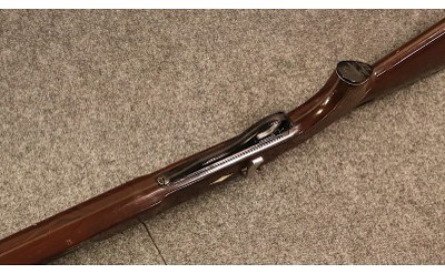 Remington ~ Nylon 12 ~ .22 S, L, LR (4980181) - Image 3 of 5