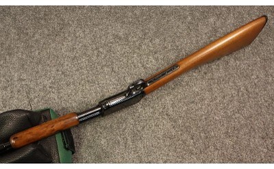 Winchester ~ 1906 ~ .22 Short (SKU: 4993545) - Image 3 of 5