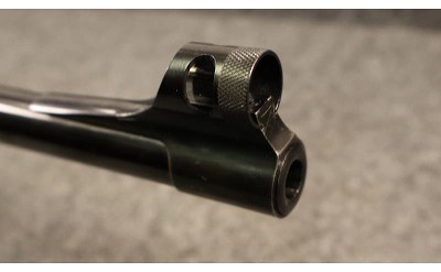 Winchester ~ 70 ~ .416 Remington Magnum (4977366) - Image 5 of 5