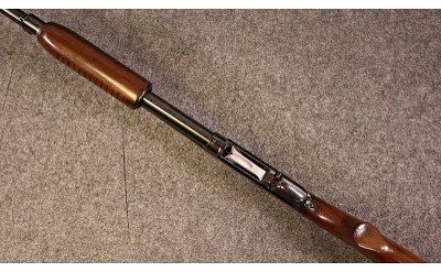 Winchester ~ Model 25 ~ 12 Gauge (4995376) - Image 3 of 5