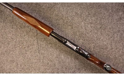 Browning ~ 12 ~ 20 Gauge (4979304) - Image 3 of 5
