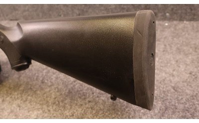Ruger ~ M77 Hawkeye ~ .25-06 Remington (4985813) - Image 4 of 7