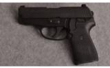 Sig Sauer P239, .40 S&W - 2 of 2