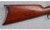 Winchester Model 1894 .25-35 WIN - 5 of 9