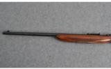 Browning 22 Auto, .22 LR - 8 of 8