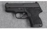 SIG SAUER MODEL P224 .40 S&W - 2 of 2