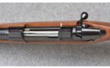 CZ 550 Safari Magnum ~ .416 Rigby - 9 of 9