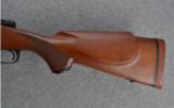 Winchester Model 70 .458 WIN MAG - 8 of 8