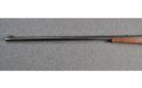 Winchester Model 1895 .30 U.S. Caliber - 7 of 8