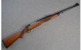 Ruger ~ Magnum ~ .458 LOTT - 1 of 8