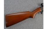 Winchester ~ Model 61 ~ .22 S, L, LR - 6 of 9