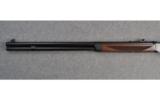 Winchester ~ Model 1894 ~ .30-30 Win. Caliber - 8 of 9