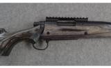 Remington ~ 700 ~ .22-250 Caliber - 3 of 9