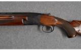 Winchester ~ Model 101 ~ 20 Ga. - 9 of 9
