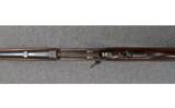 Winchester ~ Model 1892 ~ .25-20 W.C.F. - 5 of 9