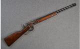 Winchester ~ Model 1892 ~ .25-20 W.C.F. - 1 of 9