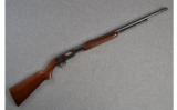 Winchester ~ Model 61 ~ .22 S, L, LR - 1 of 9