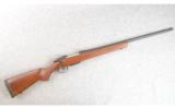CZ ~ CZ 550 ~ .22-250 Remington - 1 of 7