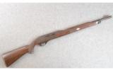 Remington ~ Nylon 66 ~ .22 Long Rifle - 1 of 7