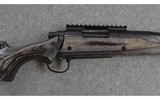 Remington ~ 700 ~ .22-250 Caliber - 3 of 10