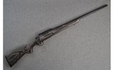 Remington ~ 700 ~ .22-250 Caliber - 1 of 10