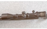 Blaser ~ R8 ~ .300 Win Mag - 8 of 8