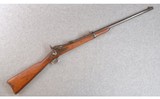 Springfield Arms ~ Model 1873 ~ No Caliber - 1 of 13