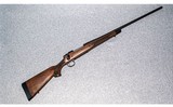 Remington ~ Model 700 ~ 7mm Remington Magnum - 1 of 13