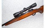 Ruger~M77~.22-250 Remington - 7 of 8