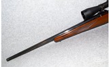 Ruger~M77~.22-250 Remington - 8 of 8