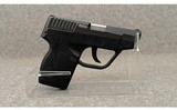 Taurus~PT 738 TCP~.380 ACP - 1 of 2