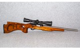 Ruger~10/22~.22 Long Rifle - 1 of 6