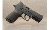 Sig Sauer~P250~9MM Luger - 1 of 2