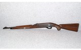 Remington~Nylon~.22 Long Rifle - 4 of 6