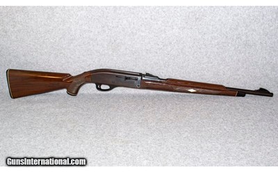 Remington~Nylon~.22 Long Rifle