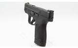 Smith & Wesson~ M&P 9 Shield Plus~9mm Luger - 3 of 3